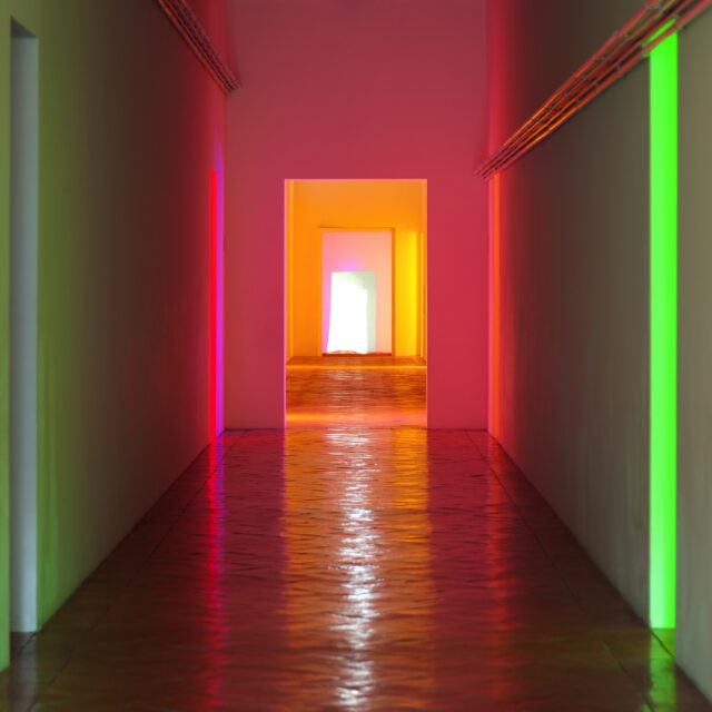 Le sale con le opere di Dan Flavin