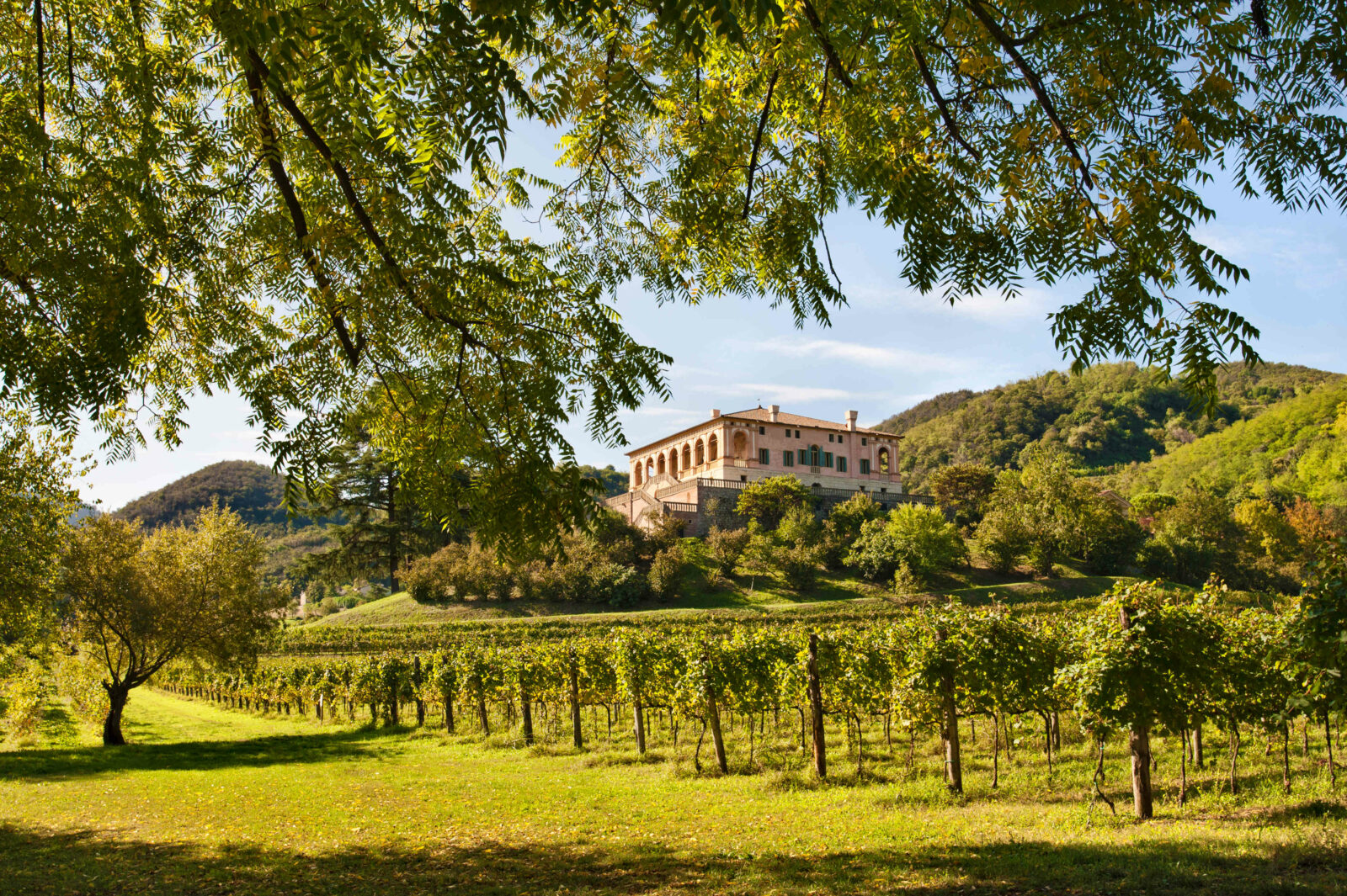 View of Villa dei Vescovi