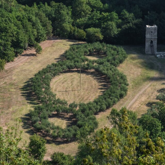 La radura del terzo paradiso