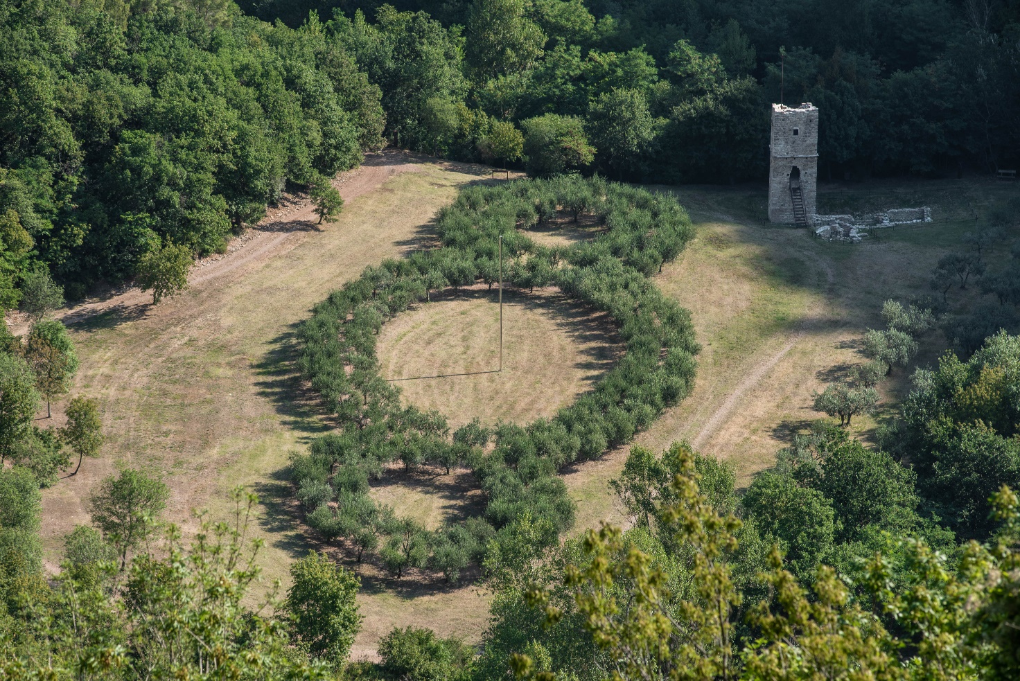View of the clearing of the Third Paradise of Michelangelo Pistoletto at the Woodland of San Francesco