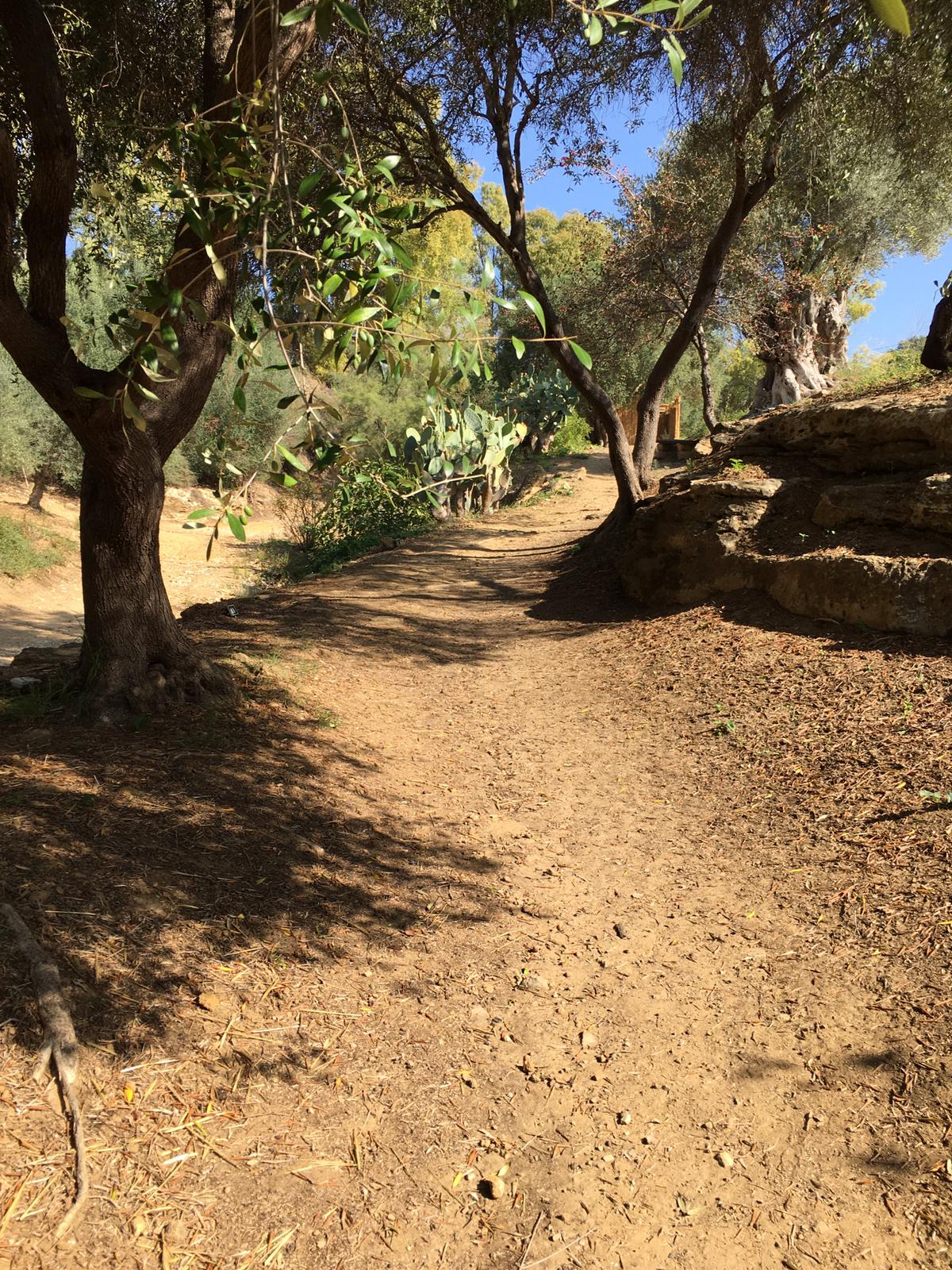 sentiero al giardino della kolymbethra