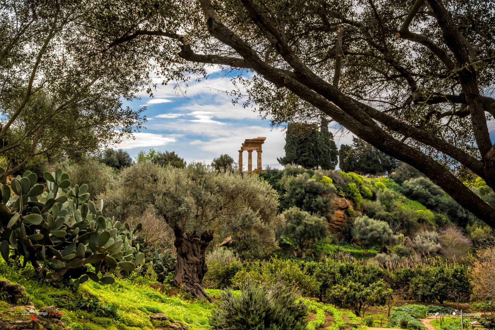 View of the Kolymbethra Garden