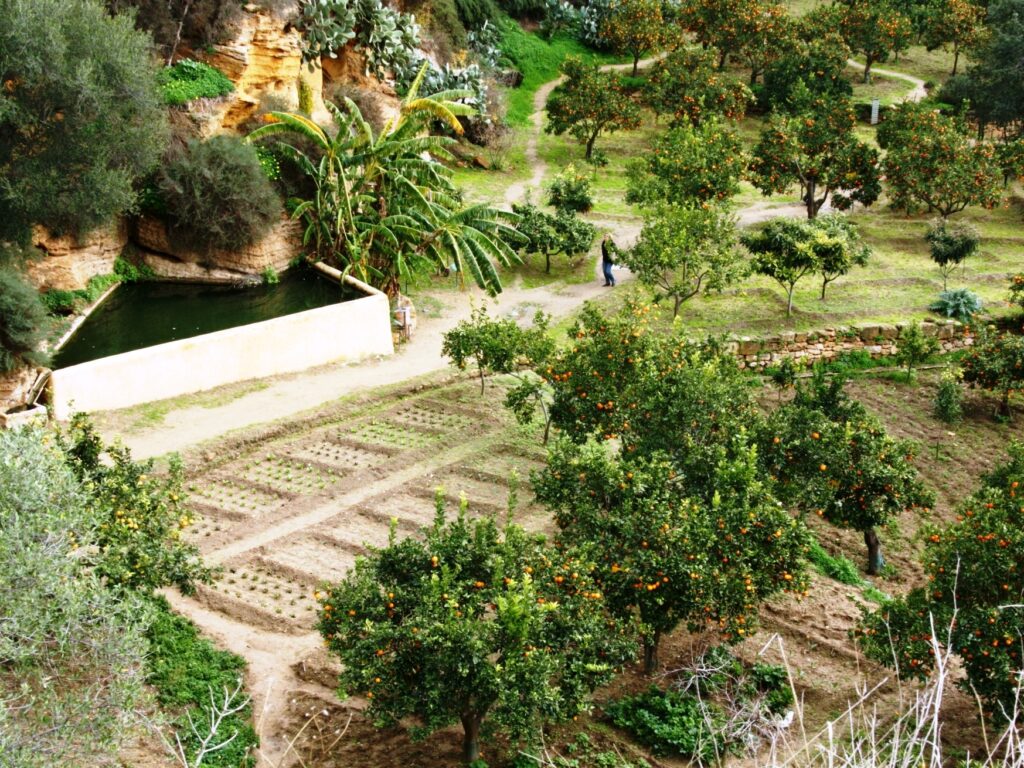 Veduta del giardino della Kolymbethra