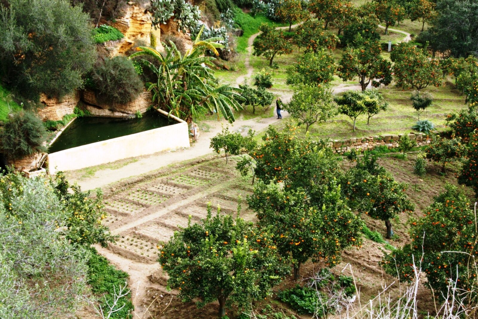 Veduta del giardino della Kolymbethra