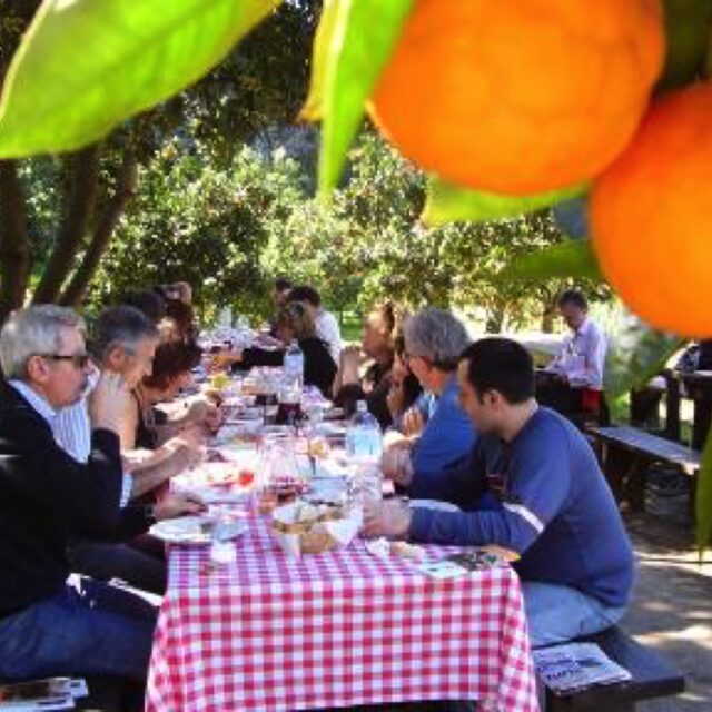 L'area pic-nic