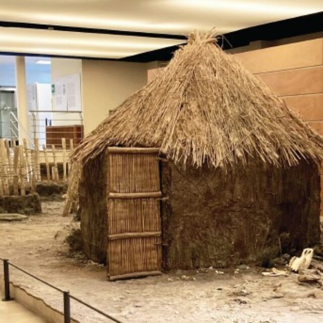 7. The huts
