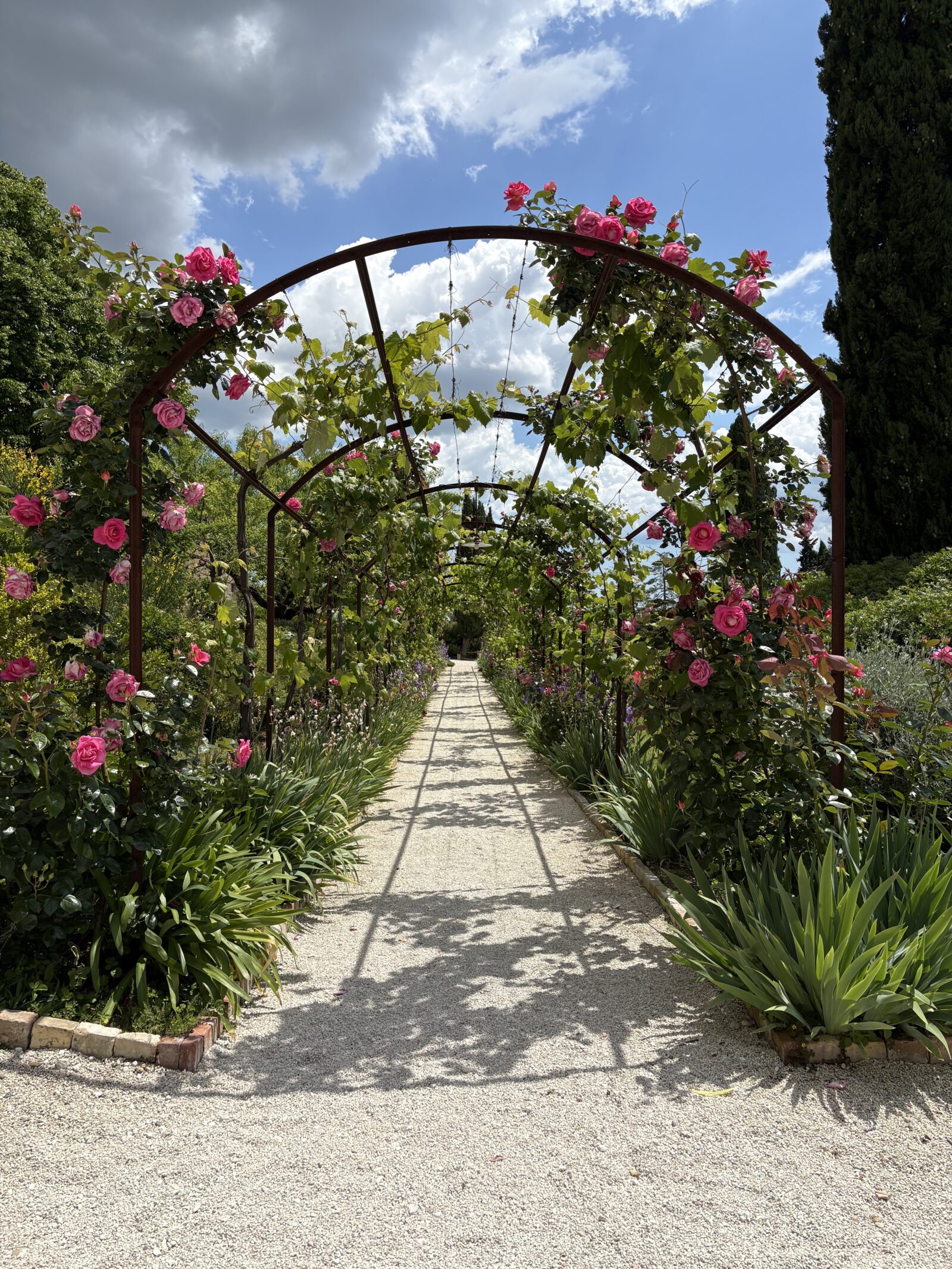 Giardino dell'Orto sul Colle dell'Infinito